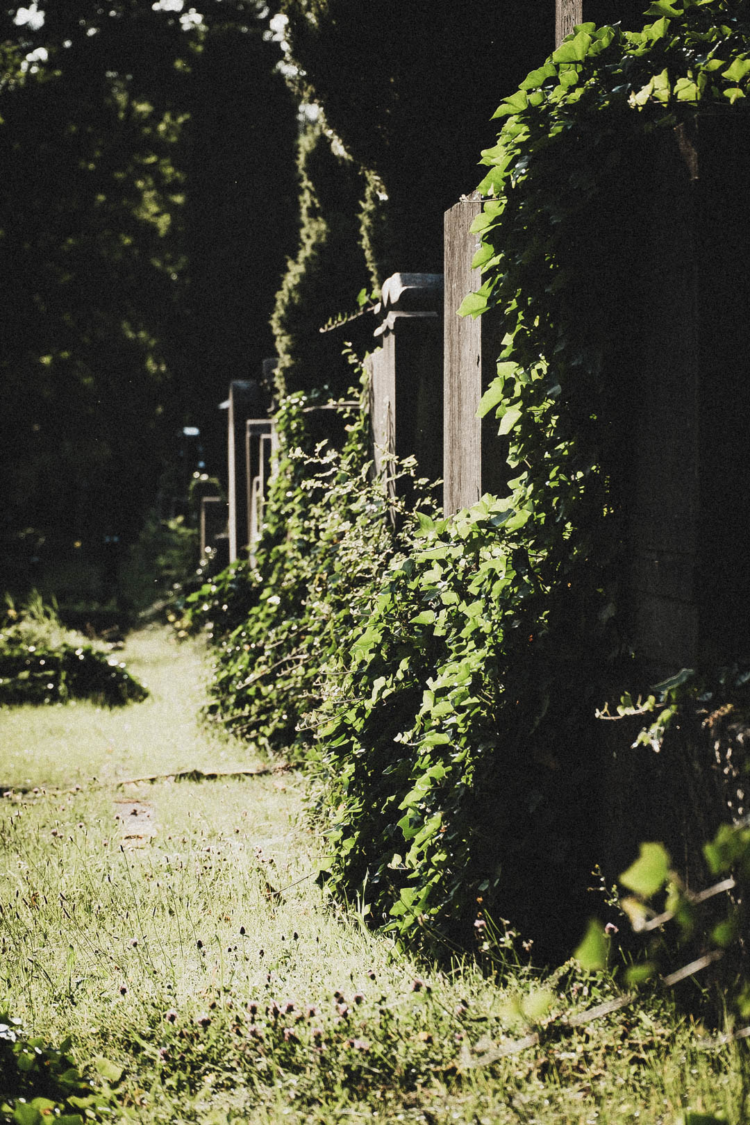 Jüdischer Friedhof Kassel-Bettenhausen